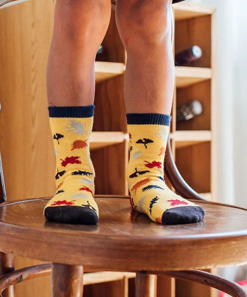 Dilly Socks Notre Chaussettes Pour Enfants: Lil Sun Leaves