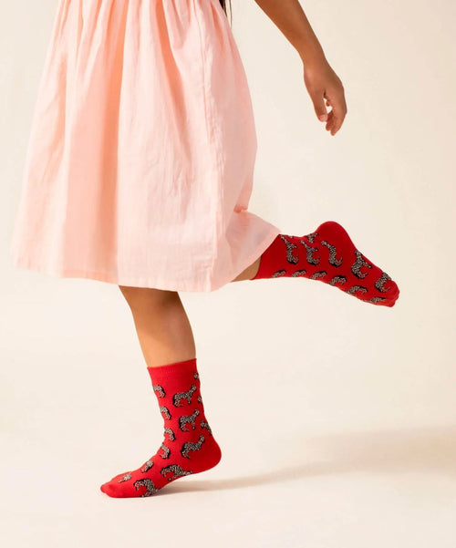 Dilly Socks Notre Chaussettes Pour Enfants: Lil Sunset Zebra