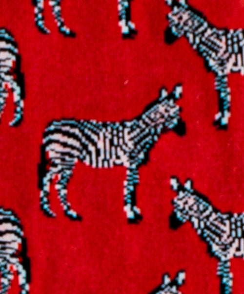 Dilly Socks Notre Chaussettes Pour Enfants: Lil Sunset Zebra