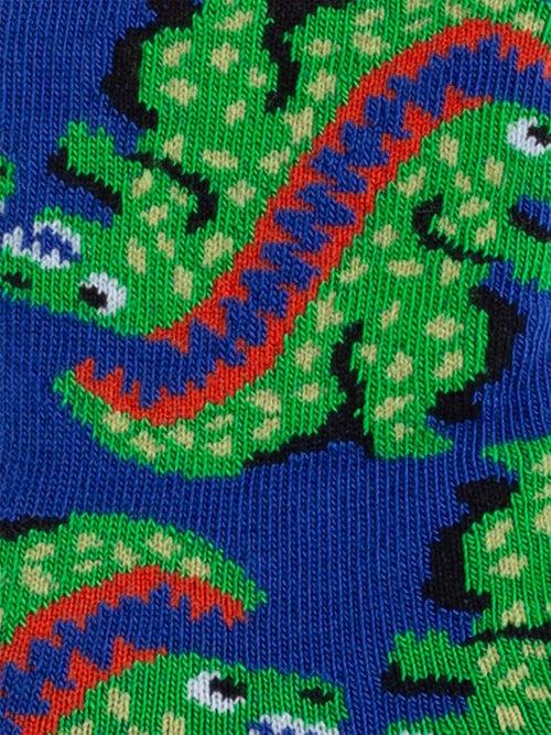 Dilly Socks Notre Chaussettes Pour Enfants: Lil Ur Ex The T Rex
