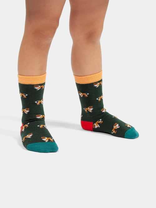 Dilly Socks Notre Chaussettes Pour Enfants: Lil Who Let The Dogs Out