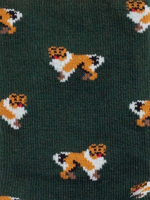 Dilly Socks Notre Chaussettes Pour Enfants: Lil Who Let The Dogs Out