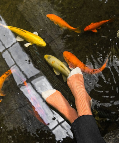 Dilly Socks Notre Chaussettes Pour Femmes: Salmon Breakfast