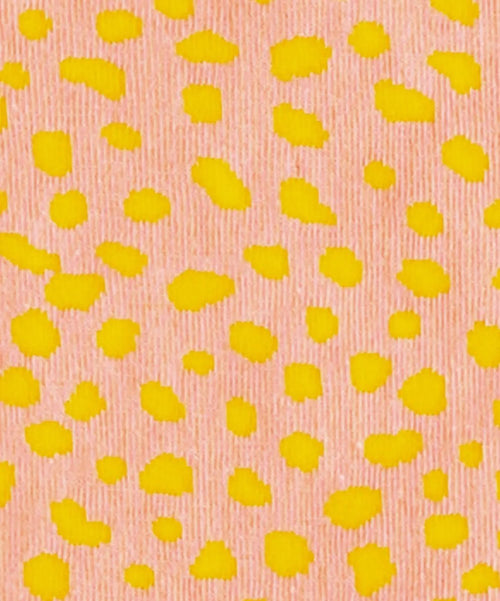 Dilly Socks Notre Chaussettes Pour Femmes: Sunshine Leopard