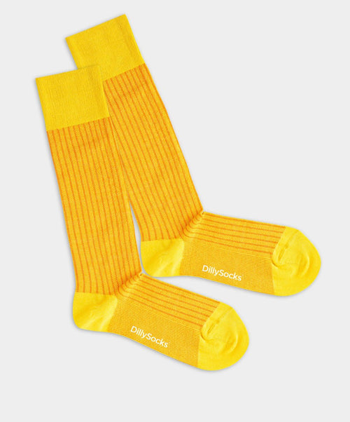 dilly socks Notre chaussettes pour hommes: Best In Class