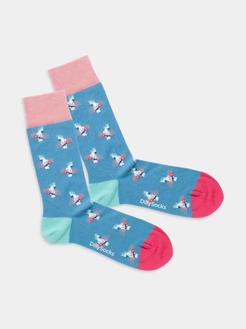 dilly socks Notre chaussettes: Tropical Bird of Paradise