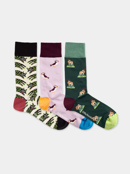 Dilly Socks Notre Coffret Cadeau Chaussettes: Cat & Puffin & Capricorn (boîte De 3)