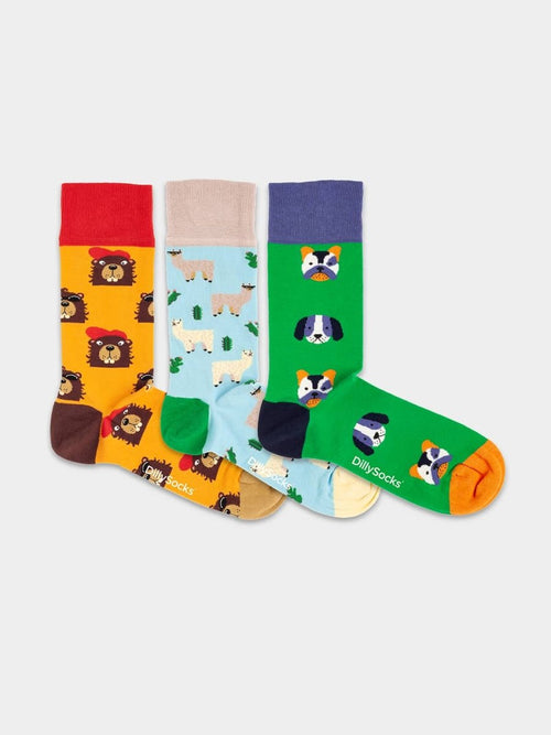 Dilly Socks Notre Coffret Cadeau Chaussettes: Paws & Friends (boîte De 3)