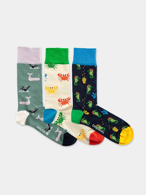 Dilly Socks Notre Coffret Cadeau Chaussettes: Under The Sea (boîte De 3)
