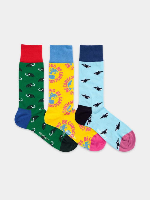 Dilly Socks Notre Coffrets Cadeaux: Climate Consciousness (boîte De 3)