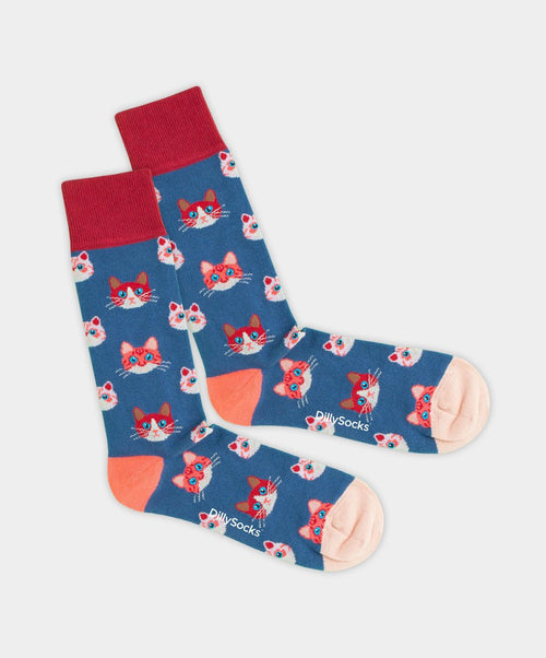 Dilly Socks Notre Coffrets Cadeaux: Domestic Animals
