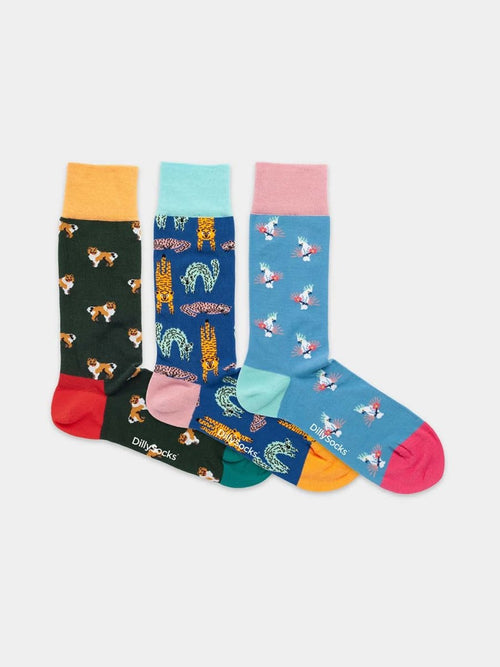 Dilly Socks Notre Coffrets Cadeaux: Pet Trio (boîte De 3)