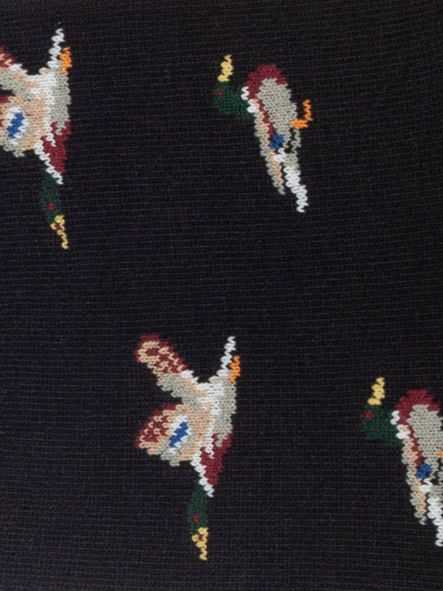 Dilly Socks Notre Footies: Hidden Duckadee Duck Duck