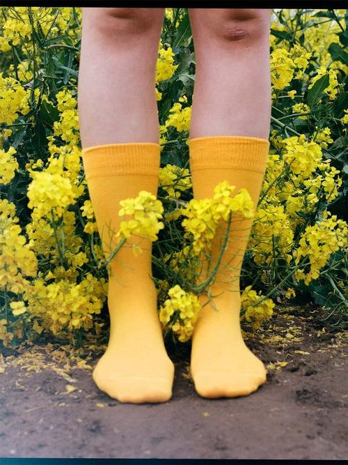 Dilly Socks Notre Jeux De Chaussettes: D-Compose Sunny Yellow (pack De 2)