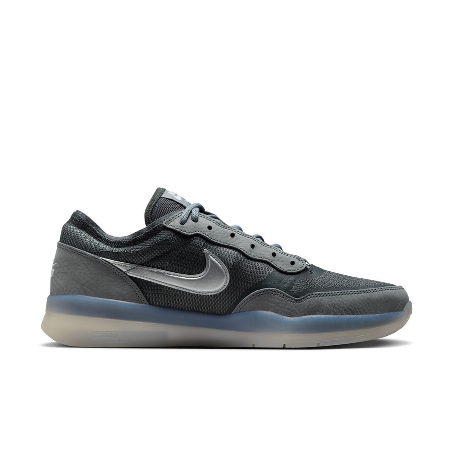 Dime Nike SB PS8