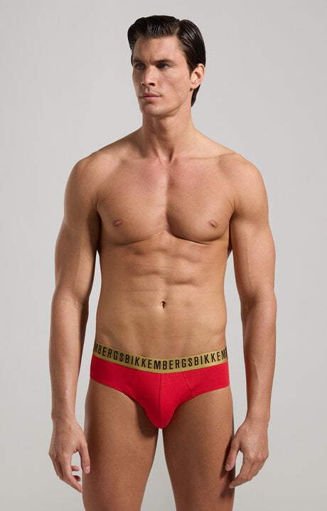 Dirk Bikkembergs 2-Pack Christmas Men's Briefs