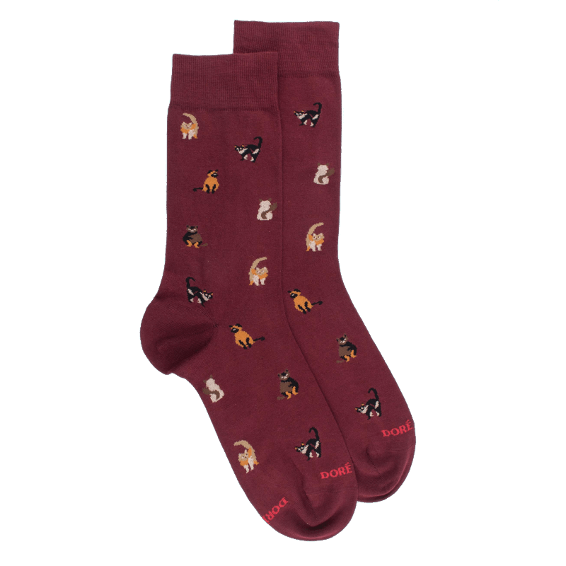 doré doré Chaussettes homme en coton à motif chats - Aubergine