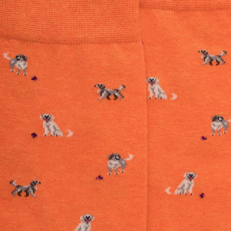 Doré Doré Chaussettes Homme En Coton à Motifs Chiens - Oranger