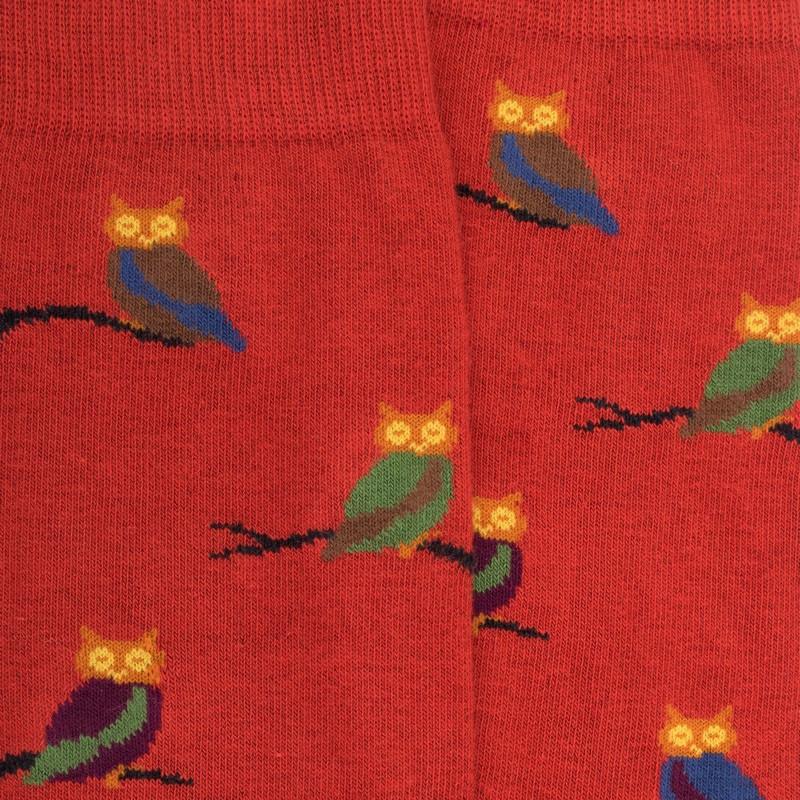 Doré Doré Chaussettes Homme En Coton Motif Hibou - Orange Cognac & Vert Campagne