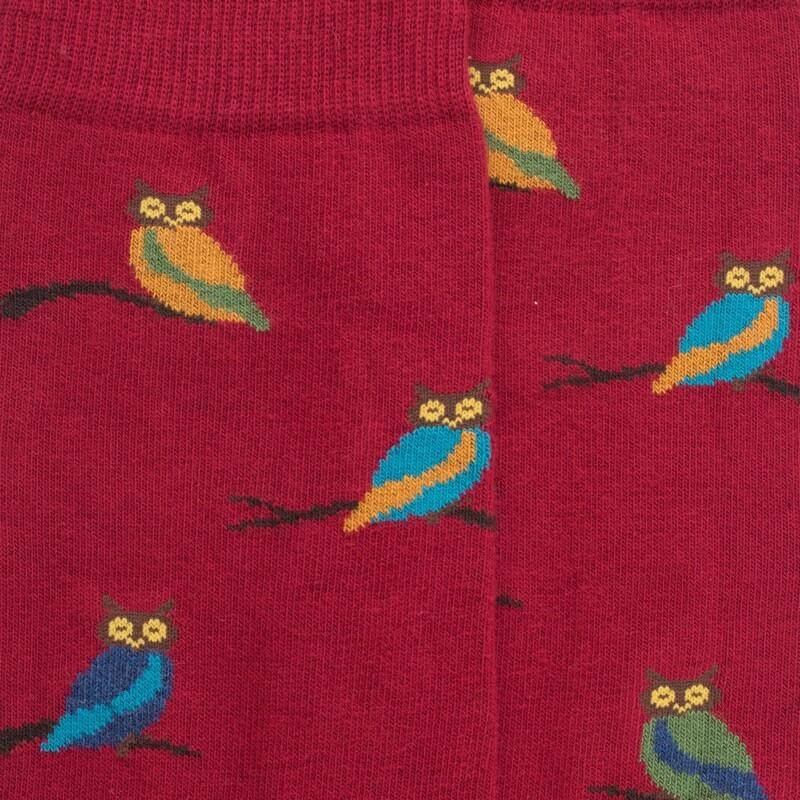 Doré Doré Chaussettes Homme En Coton Motif Hibou - Rouge Amarante & Vert Campagne