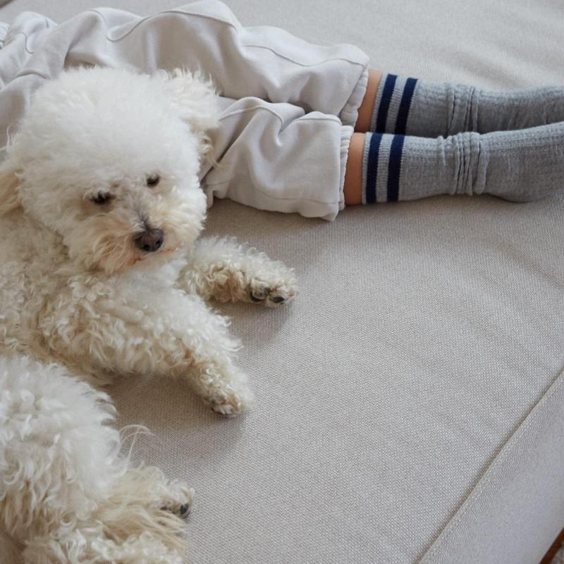 Doré Doré Mi-bas Coton Enfant Fantaisie à Bandes - Gris