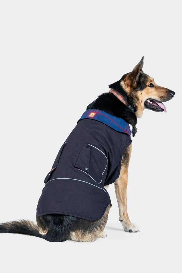 Dovetail Workwear Shop Dog Jacket