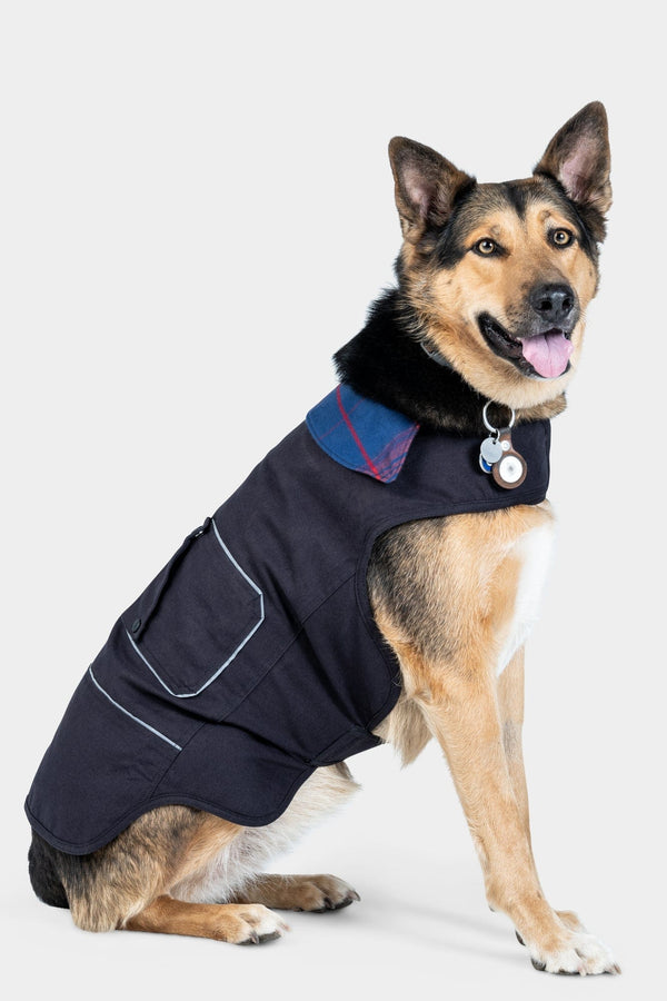 dovetail workwear Shop Dog Jacket
