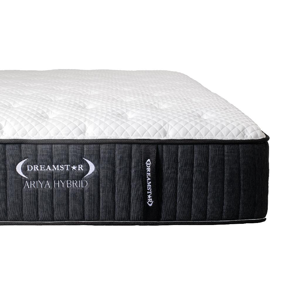 dreamstar Ariya Hybrid