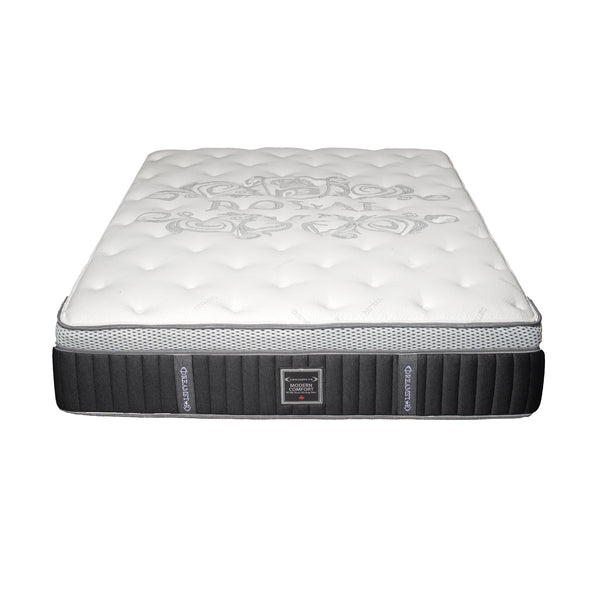 dreamstar Modern Comfort Plush