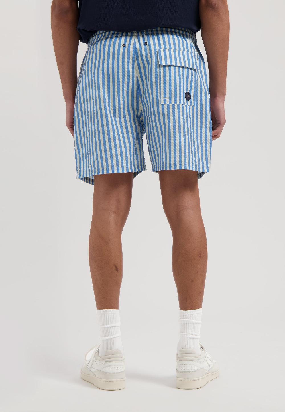 Dstrezzed Case Swimshorts Stripe Pacific Coast