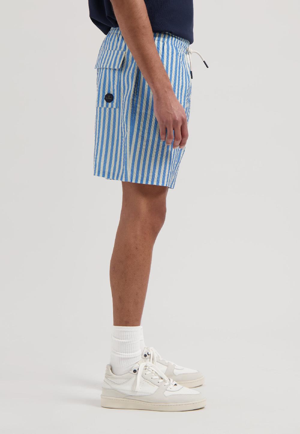 Dstrezzed Case Swimshorts Stripe Pacific Coast