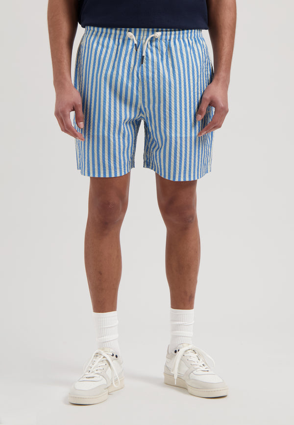 dstrezzed Case Swimshorts Stripe Pacific Coast