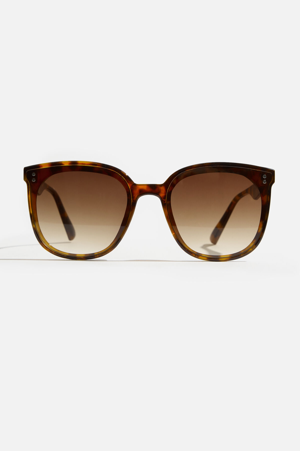 Dynamite Lunettes De Soleil « Wayfarer » Plates