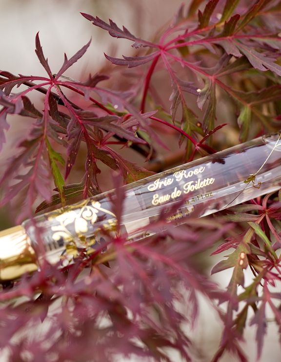 E.coudray Iris Rose Roll-on And Spray 12 Ml