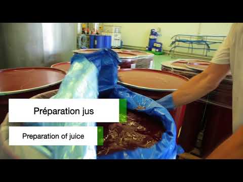 eau thermale jonzac Boisson détox citron - bio