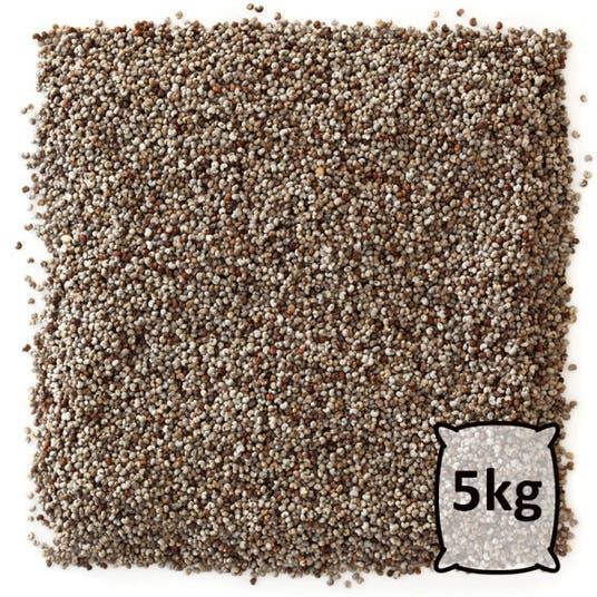 eau thermale jonzac Graines de chia - bio