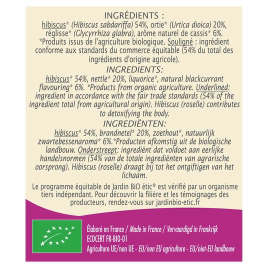 Eau Thermale Jonzac Infusion Détox Fruitée - Bio