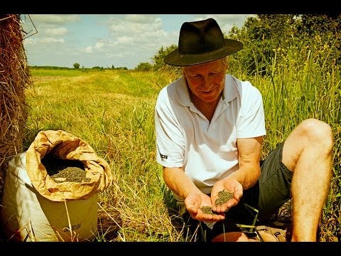 eau thermale jonzac Lentilles vertes bio de France