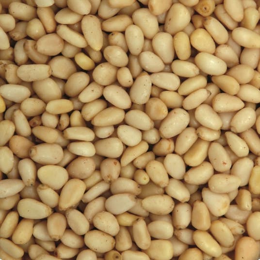 eau thermale jonzac Pignons de pin - bio