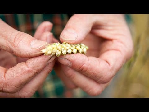 eau thermale jonzac Sablés noisette sirop d'érable - bio