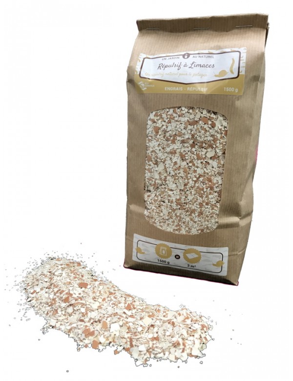 eco conseils Coquilles d'œufs - répulsif limaces naturel