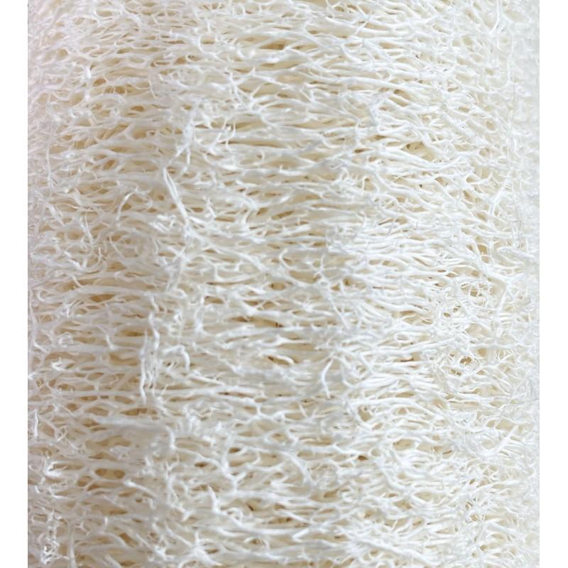 Eco Conseils Cylindre De Luffa