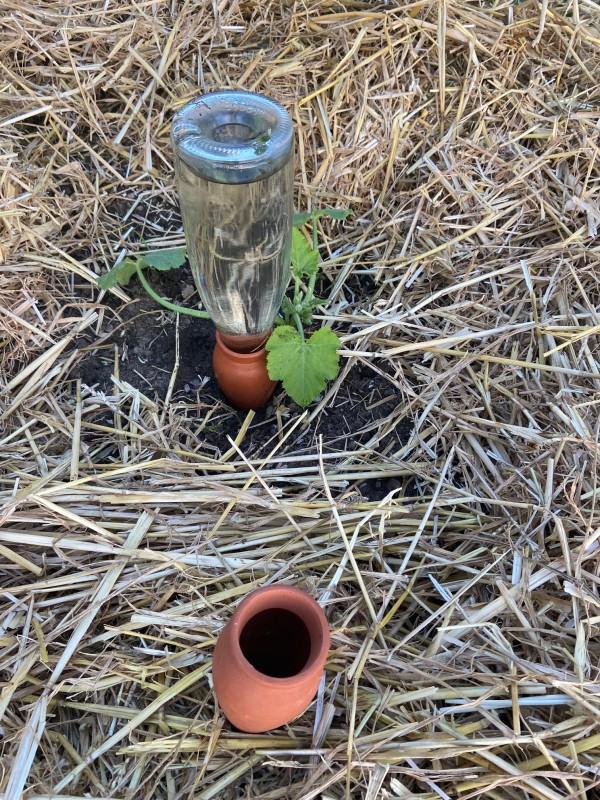 Eco Conseils Goutte à Goutte PAR 3