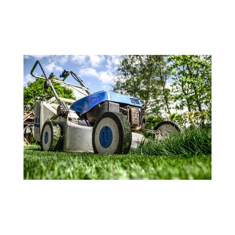 Eco Conseils MR BACTÉRIA N°20