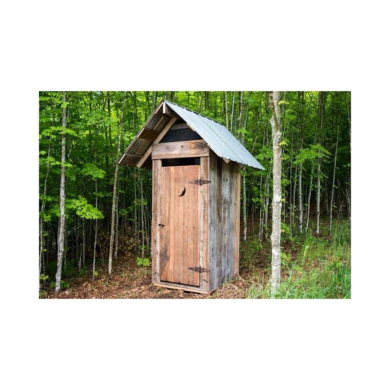 Eco Conseils MR BACTÉRIA N°6