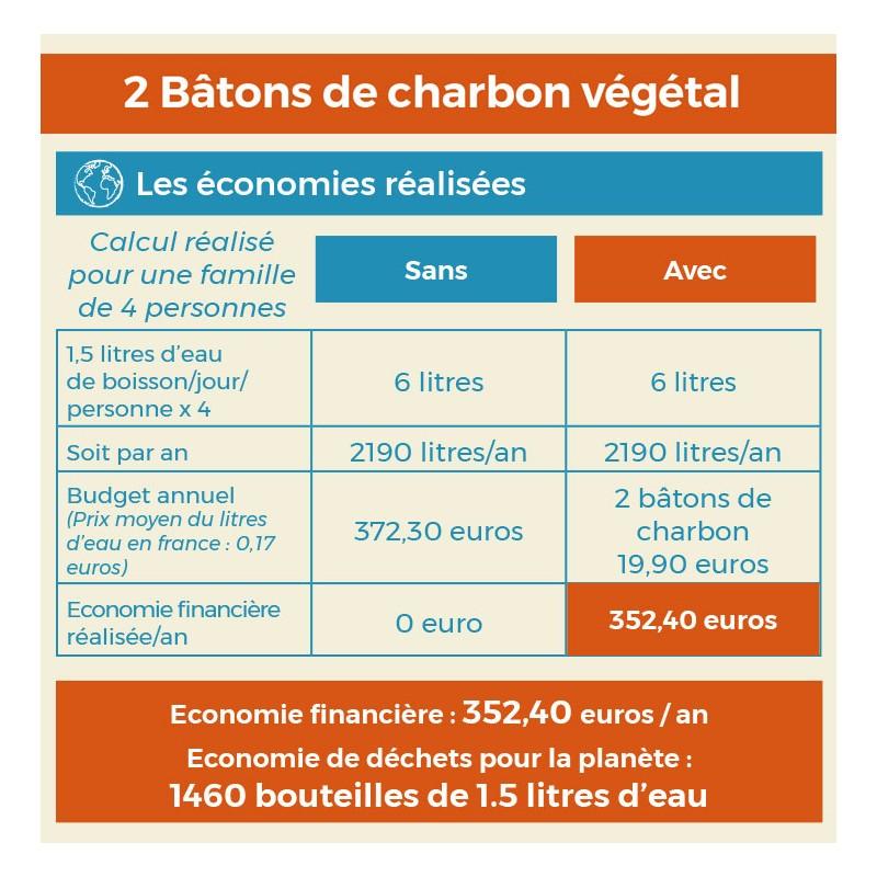Eco Conseils Purificateur D'eau Naturel : Binchotan