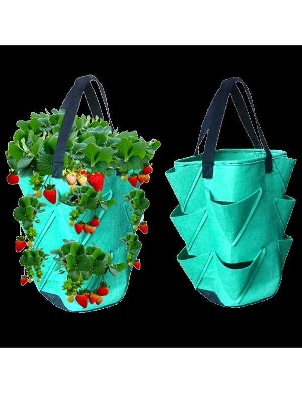 Eco Conseils Tour De Fraises