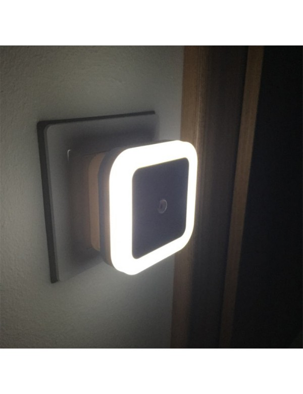 eco conseils Veilleuse économique