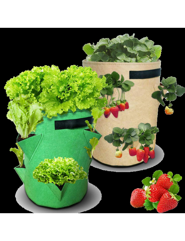 Eco Conseils Sac Planteur Pour Fraisiers Et Salades