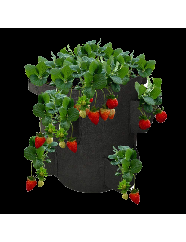 eco conseils Sac planteur pour fraisiers et salades